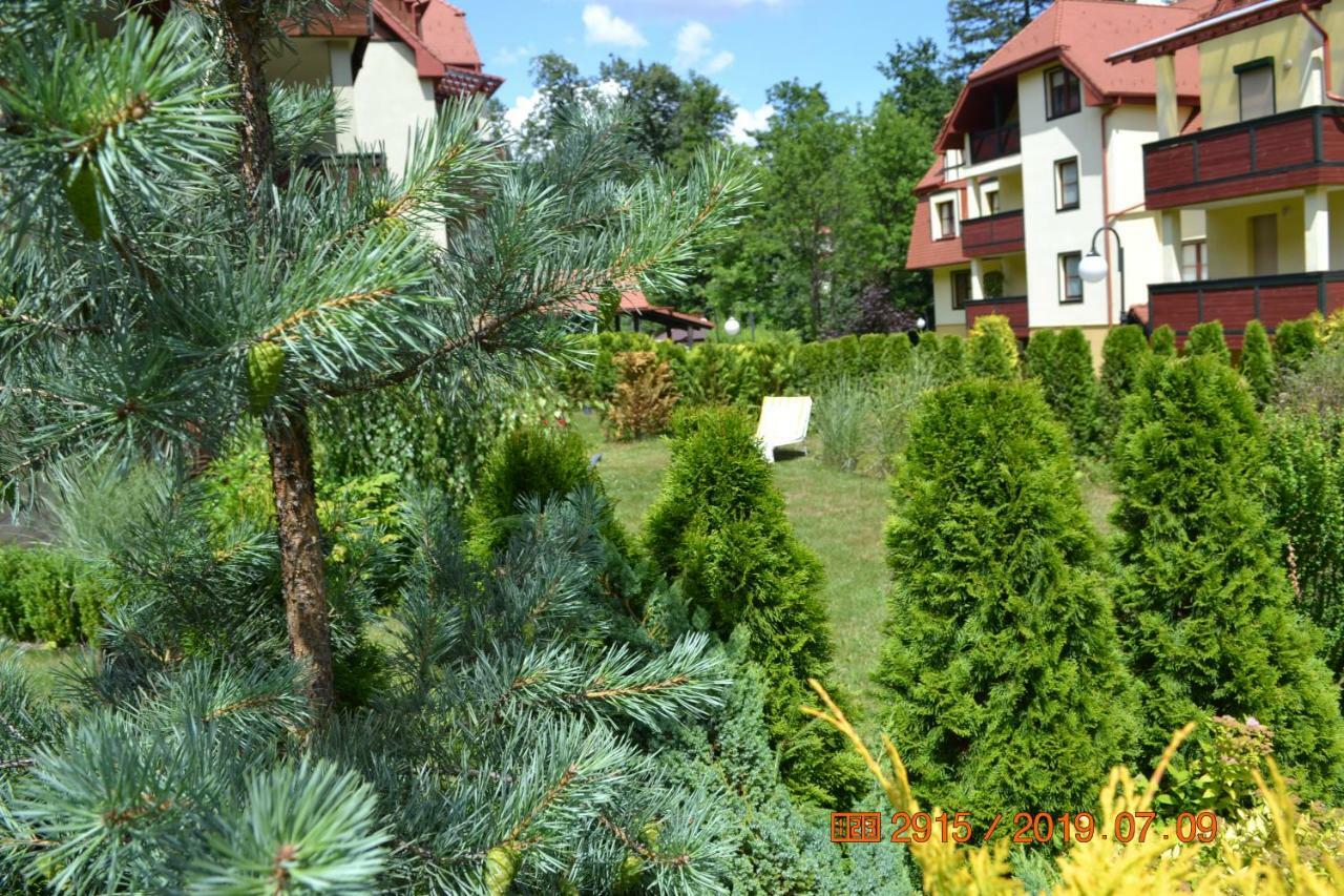 波兰尼卡-兹德鲁伊Apartament Parkowa Polana Z Ogrodem公寓 外观 照片