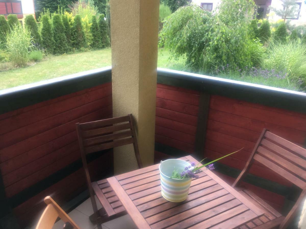 波兰尼卡-兹德鲁伊Apartament Parkowa Polana Z Ogrodem公寓 外观 照片